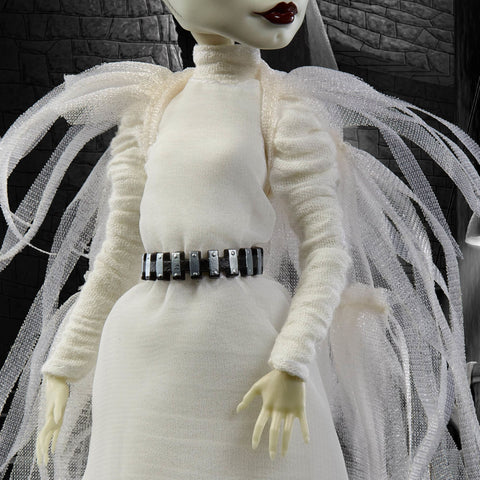 Frankenstein & Bride of Frankenstein Monster High Skullector Doll Set